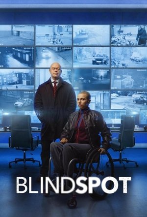 Blindspot Poster