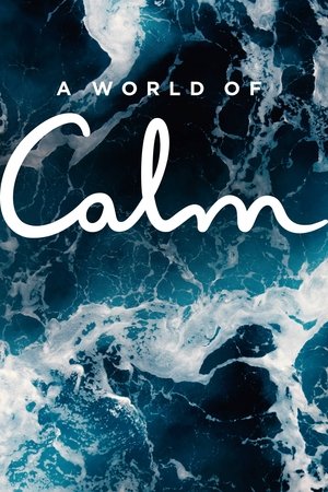 A World of Calm Poster