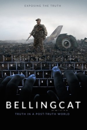 Bellingcat: Truth in a Post-Truth World Poster