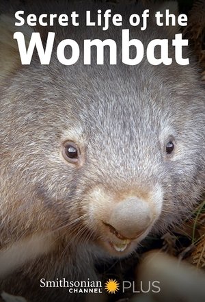 Secret Life of the Wombat Poster