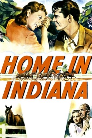 Home in Indiana Poster