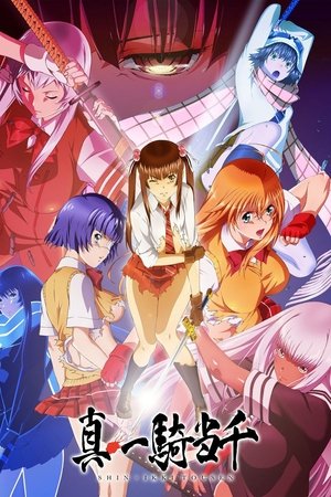 Shin Ikkitousen Poster