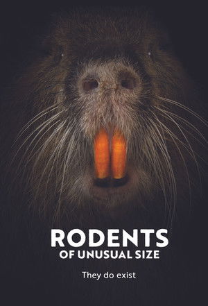 Rodents of Unusual Size Poster