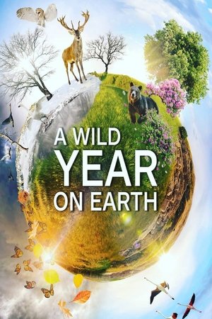 A Wild Year On Earth Poster