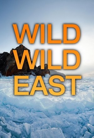 Wild Wild East Poster