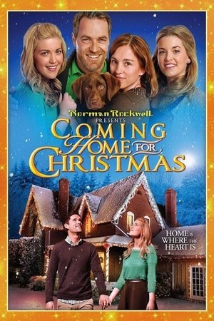 Coming Home for Christmas Poster