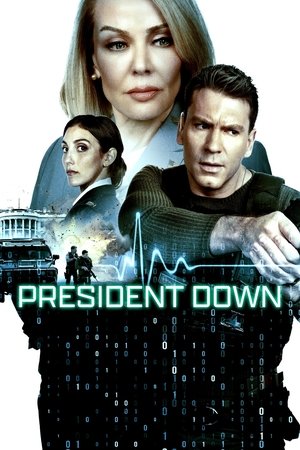 President Down Poster