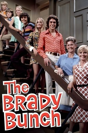 The Brady Bunch Poster