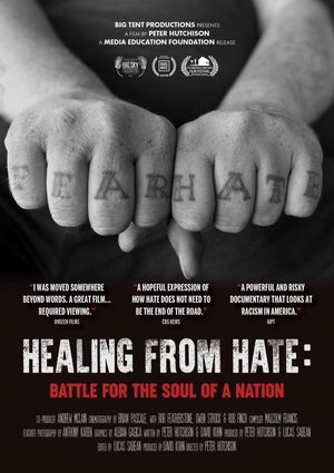 Healing From Hate: Battle for the Soul of a Nation Poster
