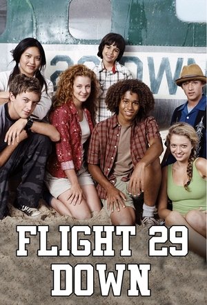 Flight 29 Down Poster