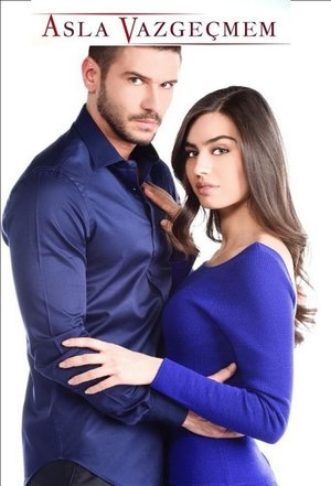 Never Give Up Poster