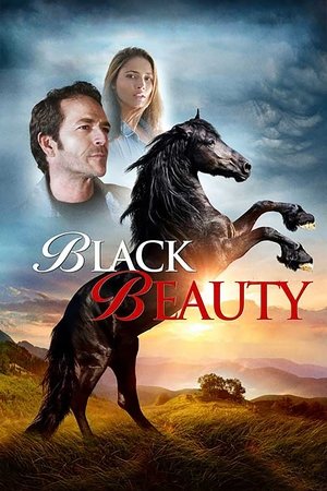 Black Beauty Poster