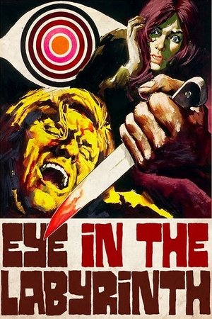 Eye in the Labyrinth Poster