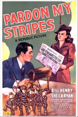 Pardon My Stripes Poster