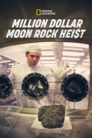 Million Dollar Moon Rock Heist Poster