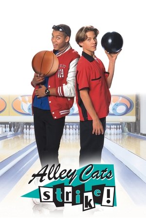 Alley Cats Strike Poster