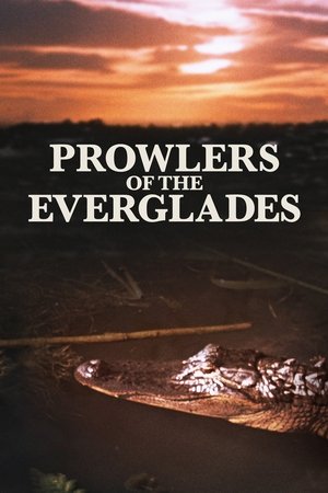 Prowlers of the Everglades Poster