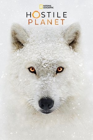 Hostile Planet Poster