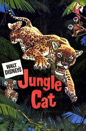 Jungle Cat Poster