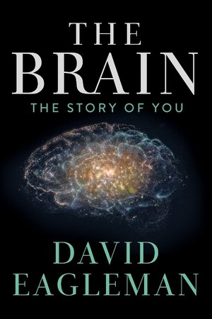 The Brain with Dr. David Eagleman Poster