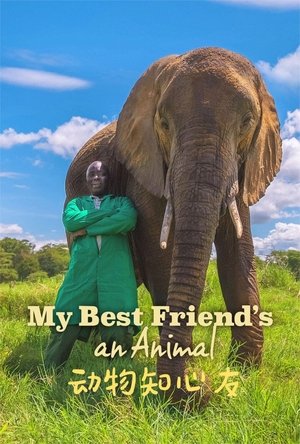 My Best Friends an Animal Poster