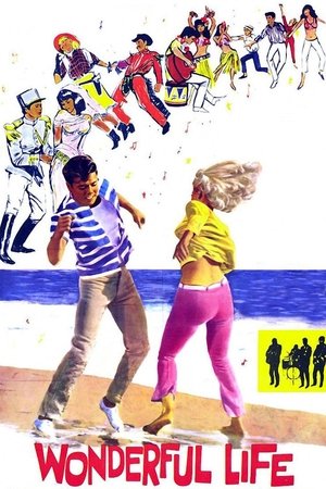 Wonderful Life Poster