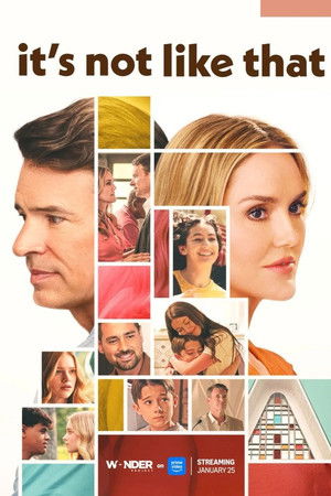 It's Not Like That Poster