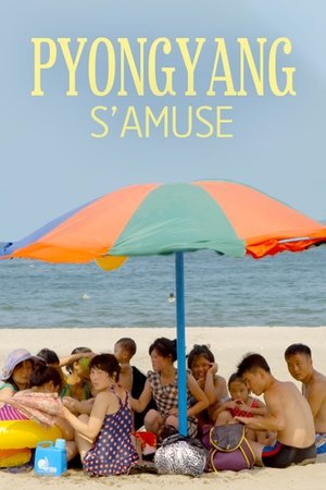 Have Fun in Pyongyang Poster