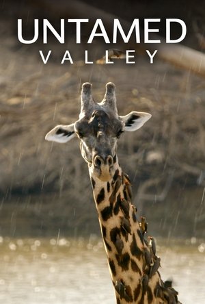 Untamed Valley Poster