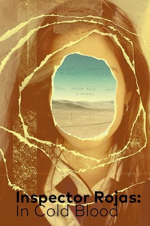 La Cacería: Las Niñas de Alto Hospicio Poster