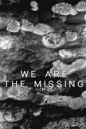 We Are The Missing Poster