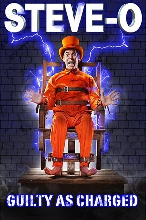 Steve-O: Guilty as Charged Poster