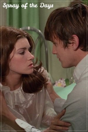 Spray of the Days Poster