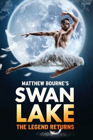 Matthew Bourne's Swan Lake Poster
