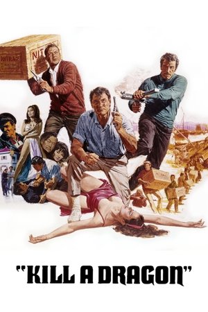 Kill a Dragon Poster