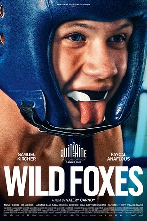 Wild Foxes Poster