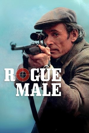 Rogue Male Poster