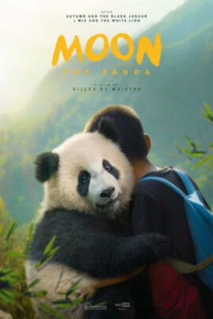 Moon The Panda Poster