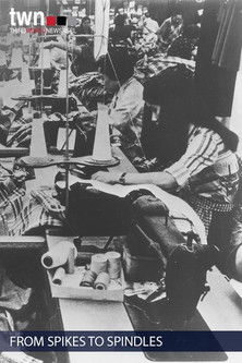 From Spikes to Spindles Poster