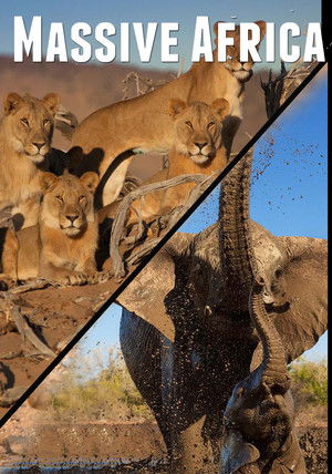 Massive Africa Poster