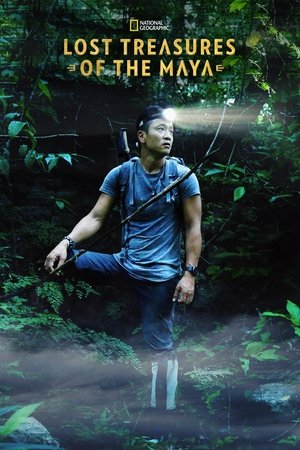 Lost Treasures of the Maya Poster