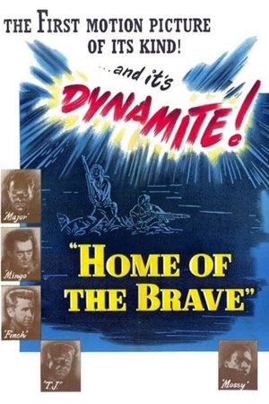 Home of the Brave Poster