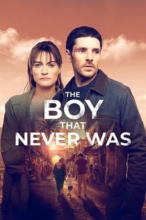 The Boy That Never Was Poster