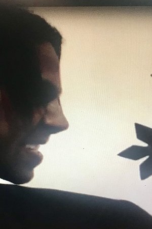 Heavens Warriors Poster