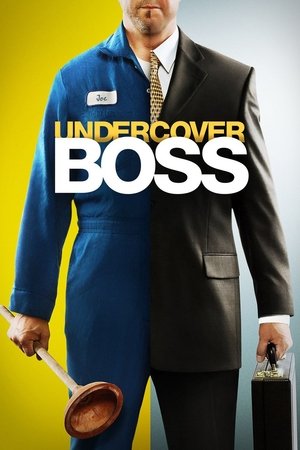 Undercover Boss Poster