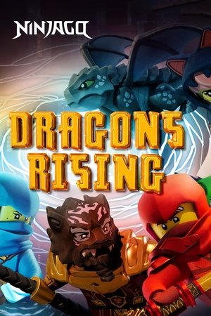 LEGO Ninjago: Dragons Rising Poster