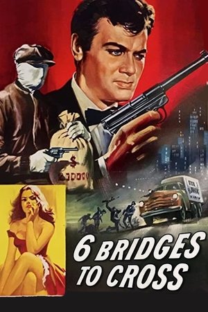 6 Bridges to Cross Poster
