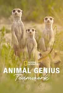 Animal Genius Poster